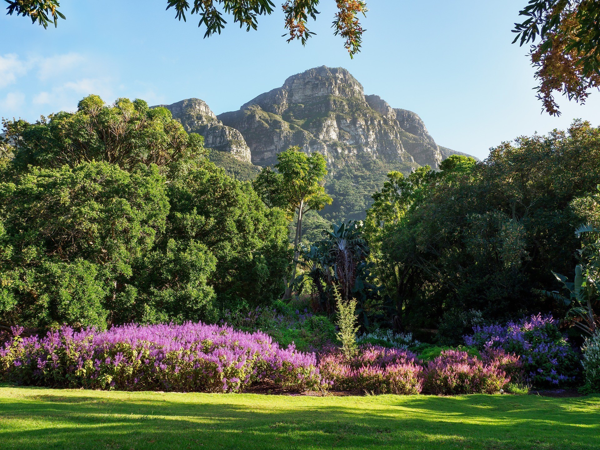 Kapstadt-BotanischerGarten-Kirstenbosch Kapstadt-BotanischerGarten-Kirstenbosch