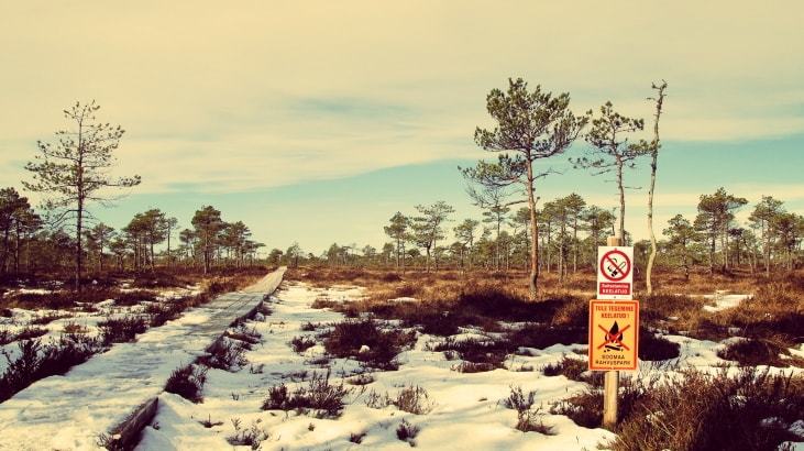 Estland-Moor Estland-Moor